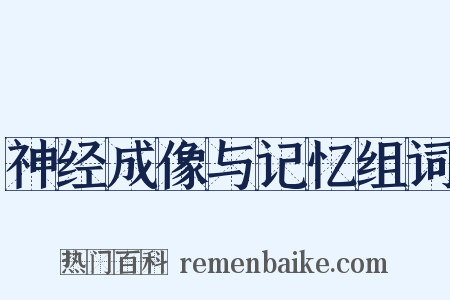 神经成像与记忆组词是什么意思的图片